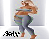 *A* Sporty Gray Prego1-3