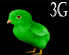 !3G Green baby chick