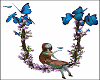 Butterflies Swing wPoses