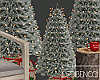 Christmas Set