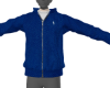 Ralph blue top