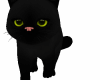 Kitten Cat Pantera