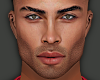 SS HANDSOME HEAD