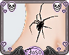 Belly spider tatt