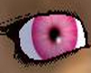 Pink Daisy Eyes