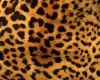large leopard rug