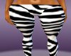Zebra Pants(Delilah)