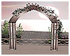 🤍 Drv Wedding Arch