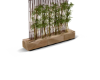 Zen Tree