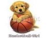 Love Of Basketball