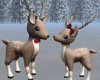 Cute Christmas Deer