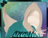 Smuk's Ears 7