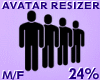 Avatar Resizer 24%