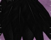 M; Crow Tail Feathers