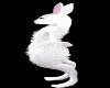 White Bunny Body