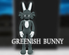 greenish bunny