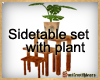 Side table Set+Plant