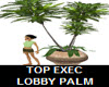 TOP EXEC LOBBY PLANT