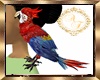 Parrot Queen