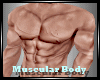 Perfect Body Muscular