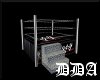 The WWE Wrestling Ring