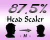 Head Scaler 87,5%