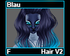 Blau Hair F V2