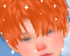 Patrick Ginger