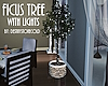 SC Ficus Tree & Lights