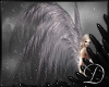 .:D:.Angel Wings White