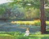 animated delfini 