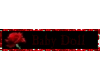 QS~Baby Doll Tag