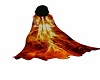 Firey Phoenix Cloak