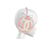 No. 5 Earmuffs P/W