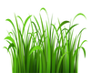 HUGEEE Green Grass
