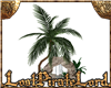 [LPL] Palm Fountain