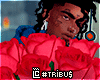 valentine's day