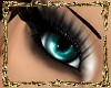 [Ace] Dream eyes