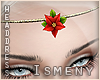 [Is] Poinsettia Forehead