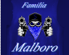 Casaco Malboro Girl