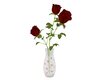 Valentine Roses In Vase