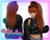  v Athene ginger