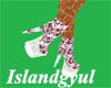 (C)Island Spring Shoe