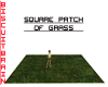 Grass Square Patch