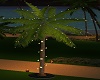 LIGHTED PALM TREE