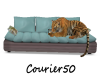 C50 Tiger Couch