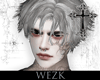 â±WI. ARMASH HAIR