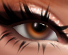 Autumn Eyes