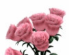 R|C Pink Rose 7Poses