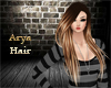 KA~Arya Hair